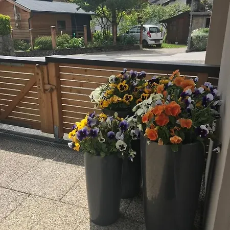 Apartment Wittner's Soll
